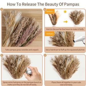 Pampas Grass NWT